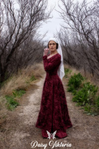 red brocade kirtle cotehardie gothic fitted gown